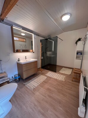 Shower, hair dryer