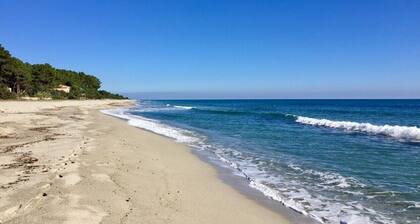 Luxury Lodge for 5 people