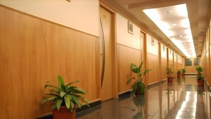 Un long couloir bien éclairé, avec des boiseries et des plantes en pot.