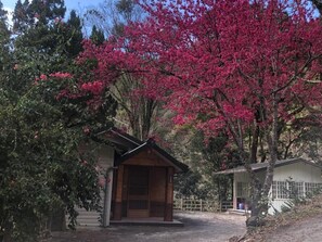 View from room - Xijing Ecological Farm (Taoyuan City)