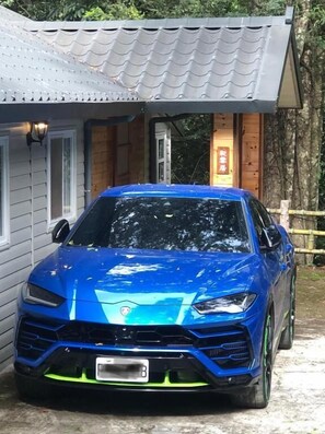 Lemmikkiystävälliset palvelut/mukavuudet