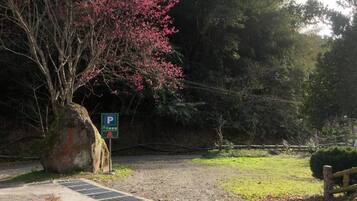 Family Quadruple Room, Patio