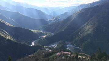 Pet-friendly amenities