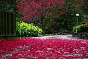 Pet-friendly amenities - Xijing Ecological Farm (Taoyuan City)