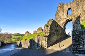 Unclassified image, 5 of 9, button