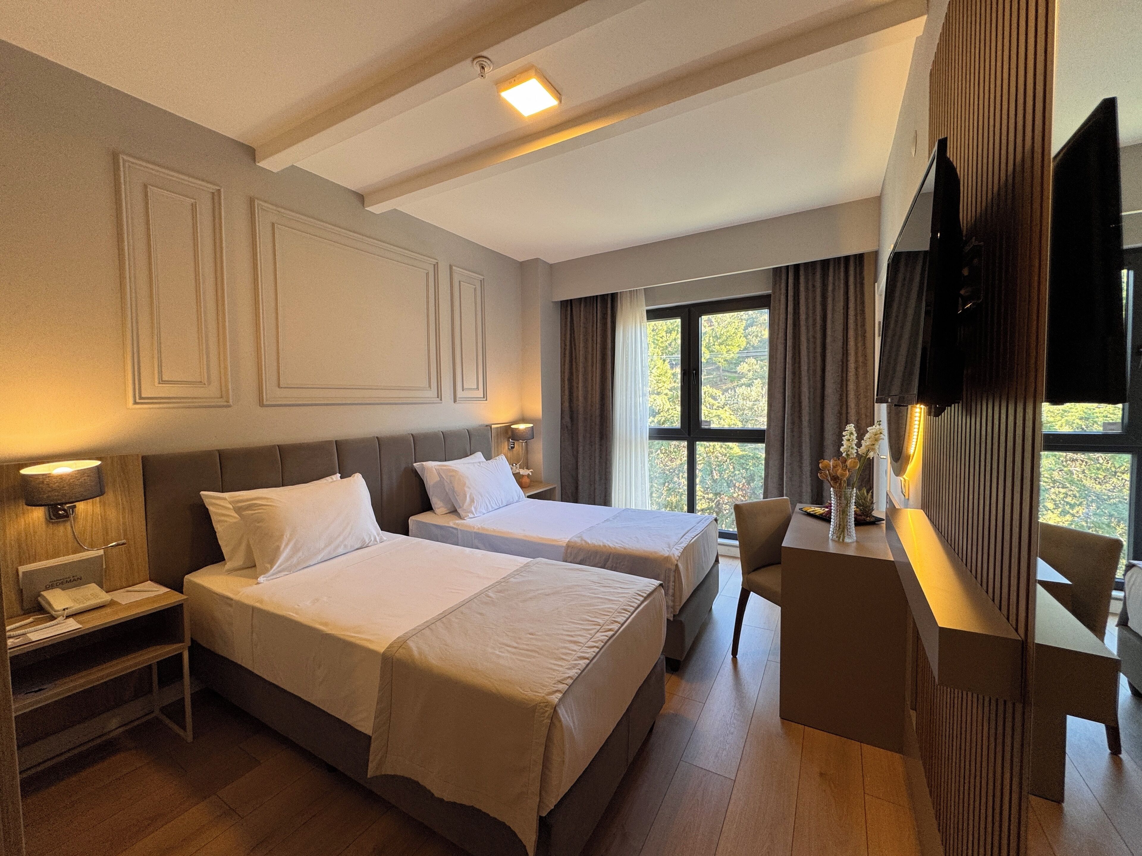 Minibar, in-room safe, desk, laptop workspace