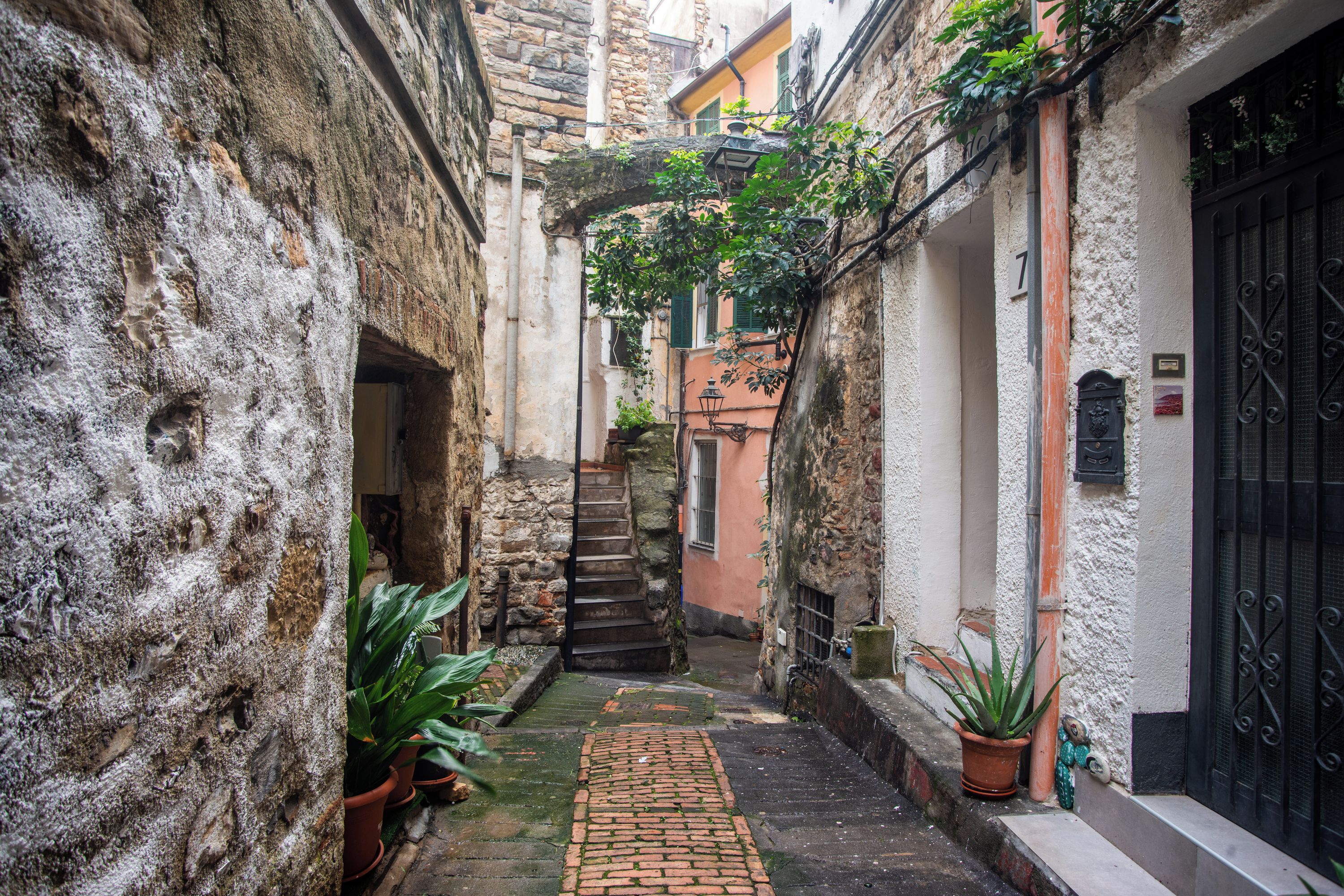 Une ruelle étroite avec un chemin pavé de pierres, des murs en pierre et des plantes en pot.
