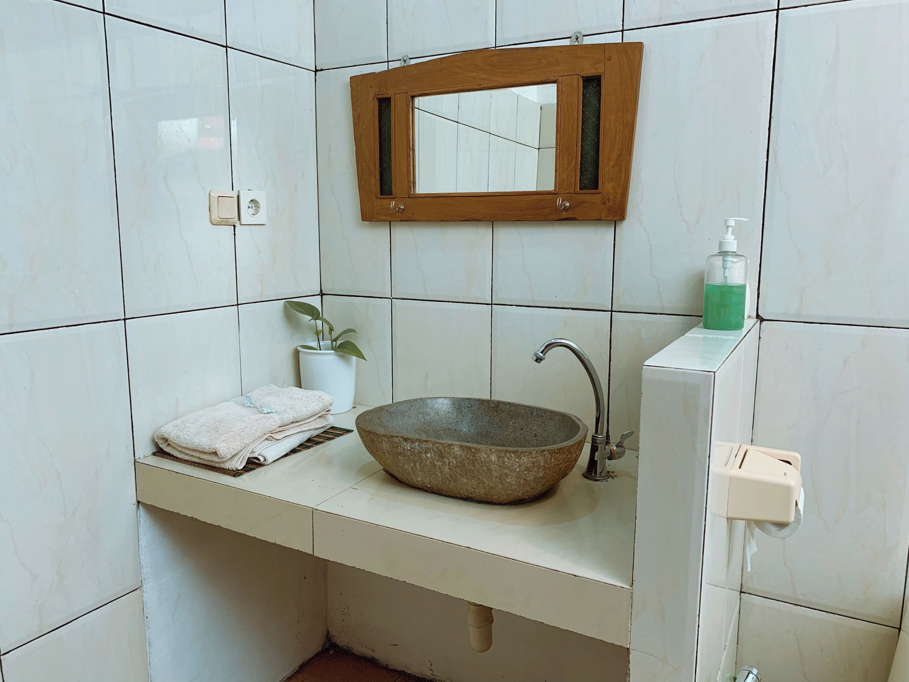 Une salle de bain avec un lavabo en pierre, un miroir encadré en bois, une plante en pot et un distributeur de savon.