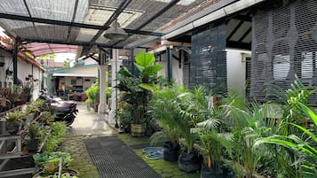 Jardí