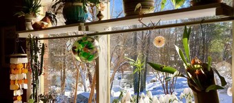 Quiet bungalow in west Asheville with hot tub, fitness room, and a wood stove.