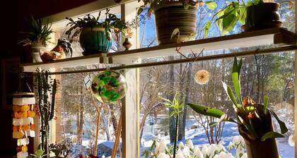 Quiet bungalow in west Asheville with hot tub, fitness room, and a wood stove.