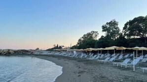 A beach with rows of sun loungers under umbrellas, a rocky shoreline, and trees in the background.
