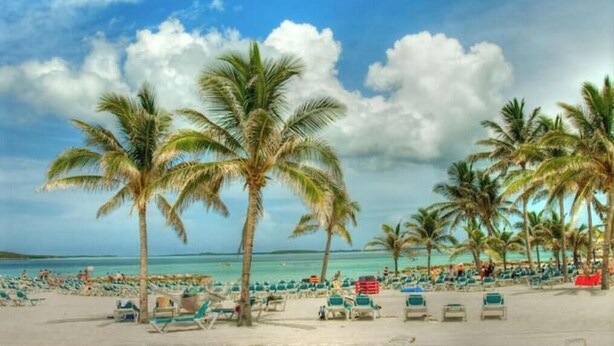 A beach with palm trees and lounge chairs. - Big Vacation Plex (Freeport)