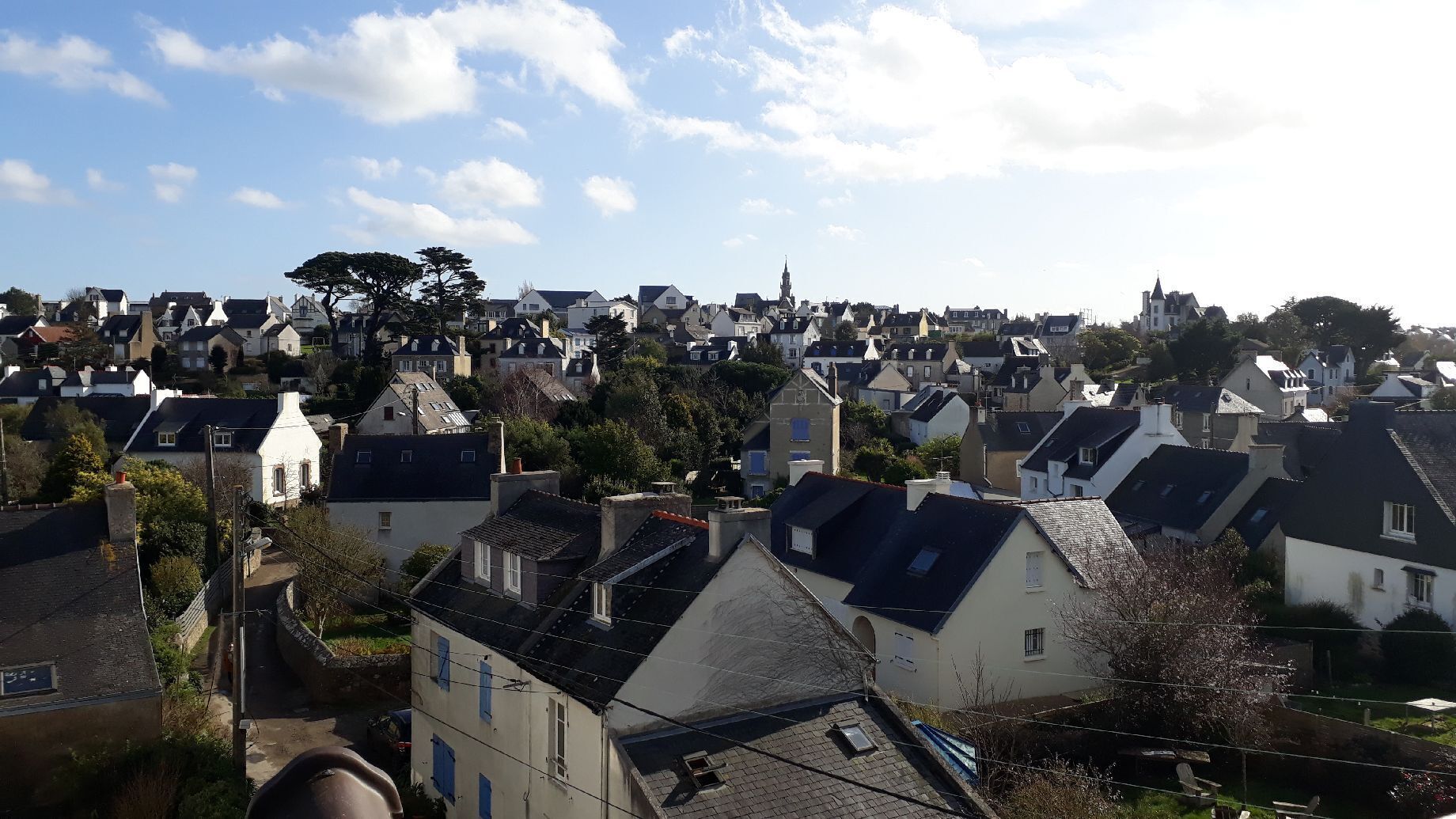 A residential area with houses, some with sloped roofs and others with flat roofs. There are trees and a clear sky.