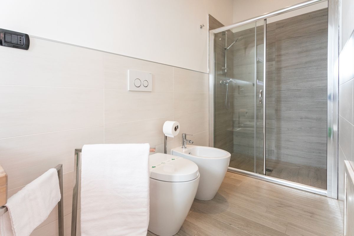 Shower, hair dryer, bidet, towels