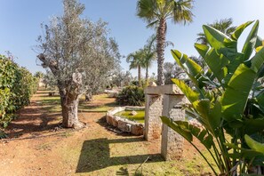 Property grounds - Tenuta Marghery - Salento Reservation (Racale)