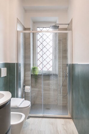 Shower, hair dryer, bidet, towels