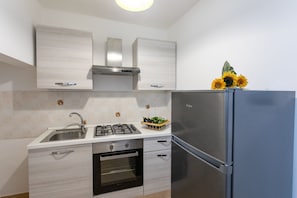Fridge, oven, stovetop, coffee/tea maker
