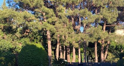 Charming country house in wooded grounds. A country feel in the city!