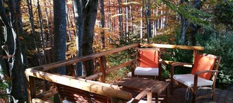 Charming villa with 1 bedroom and WiFi, AC in lovely Bușteni