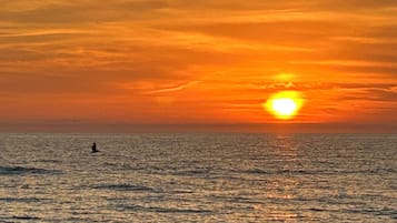 Chaises longues, serviettes de plage