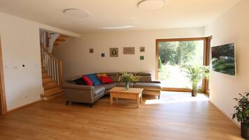 TV connectée, cheminée