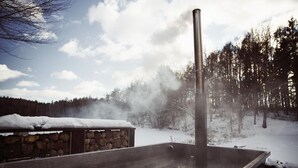Baignoire à remous extérieure
