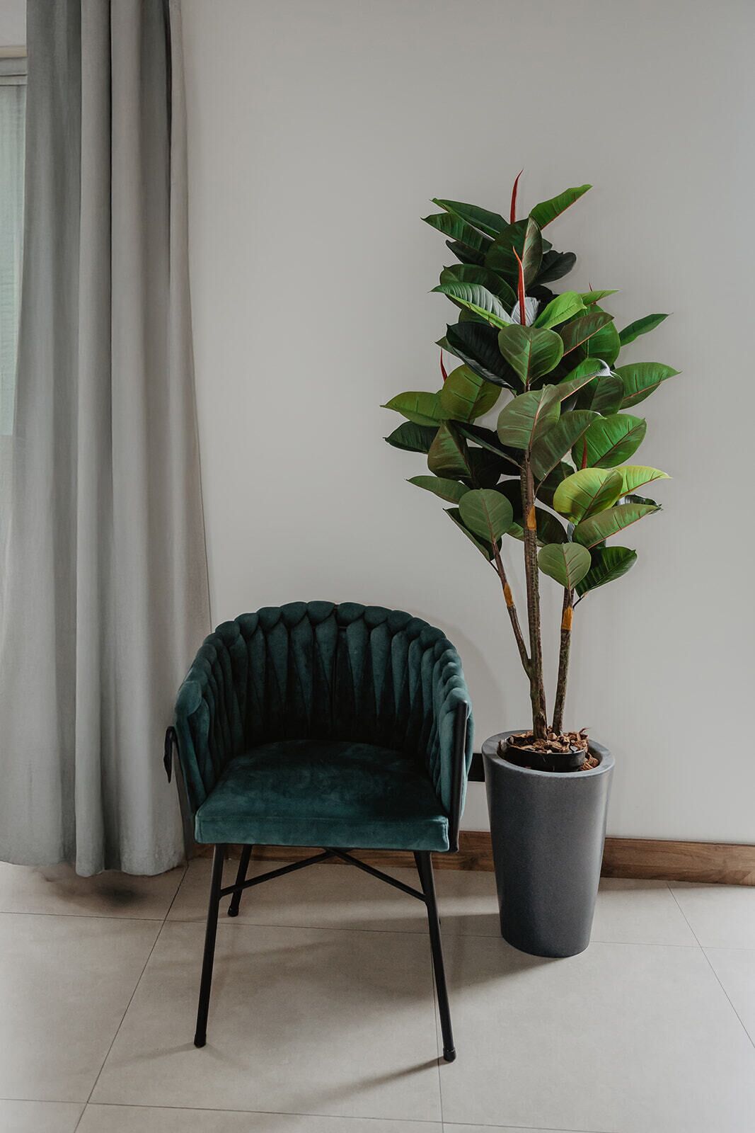A dark green velvet chair next to a potted plant with broad leaves.