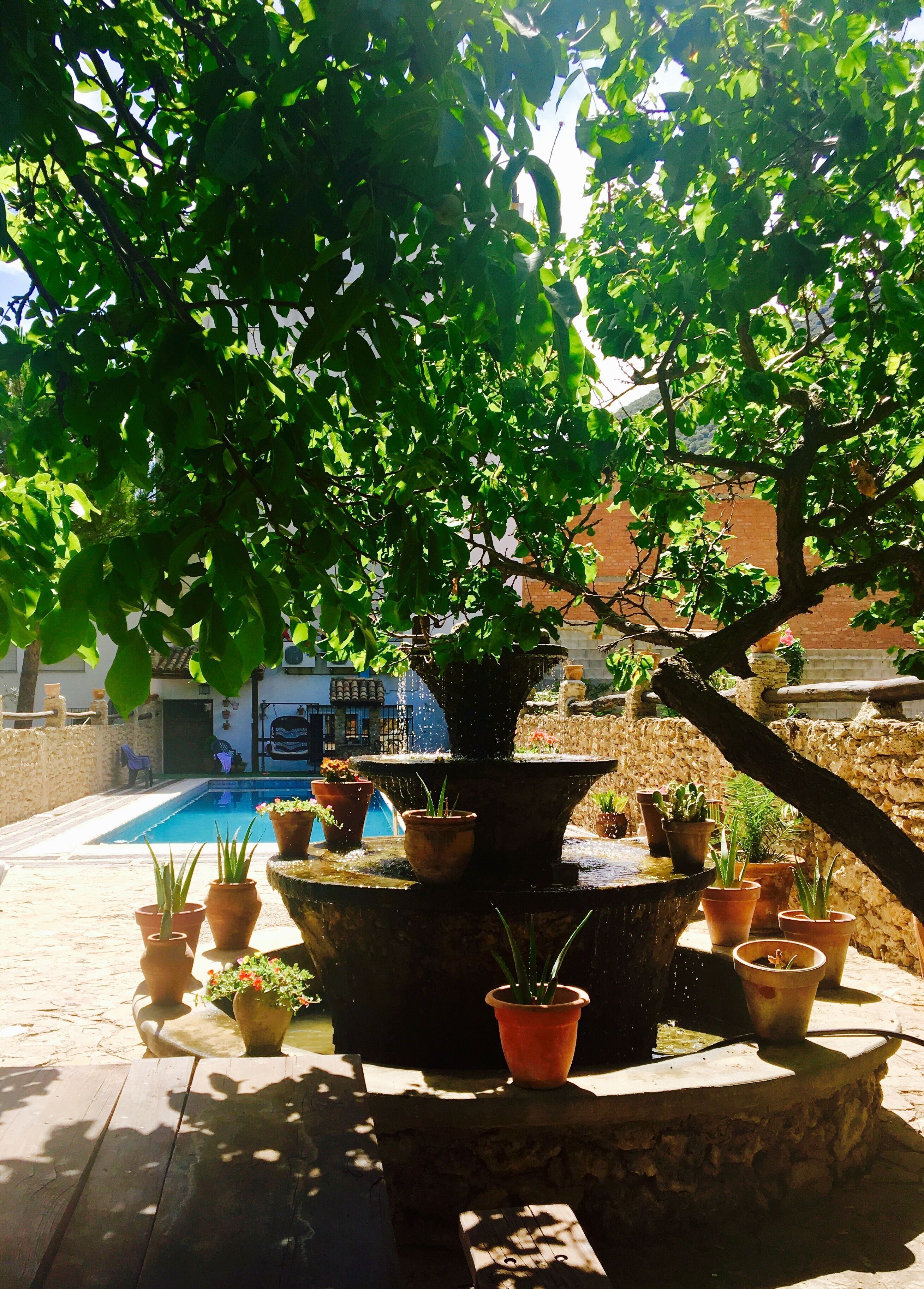 Áreas de la propiedad