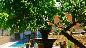 A garden area with a fountain, potted plants, and a pool.