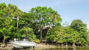 Un bateau baptisé « IND1 » a accosté près d’une rive bordée d’une forêt.
