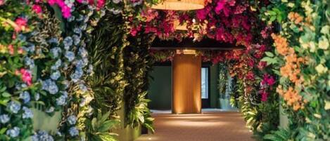 Terrein van de accommodatie