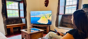 TV, fireplace, books