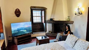 Un salon chaleureux avec une télévision, une cheminée, un canapé et un mur en pierre.