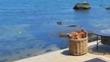 Ulkoalueet