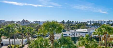 A pool area with palm trees, a clear sky, and buildings in the background.