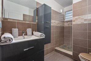 Shower, hair dryer, towels