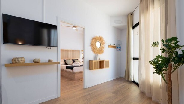 A modern hotel room with a flat-screen TV, wooden flooring, a bed with a headboard, a wall-mounted mirror, and a potted plant. - A (VA078-3) TH Bioparc Apartment C (Valencia / València)