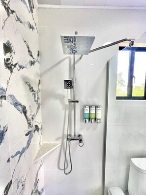 Shower, hair dryer, towels, soap