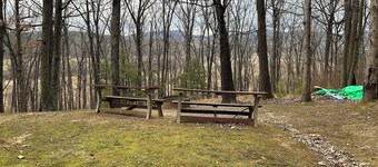 Charming 4-bedroom cabin with HOTTUB in peaceful Upper Tract with WiFi, AC