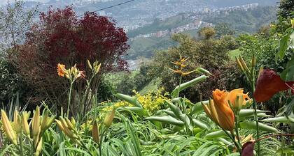 Las hamacas (rural lodging)