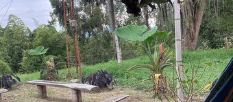 Las hamacas (rural lodging)