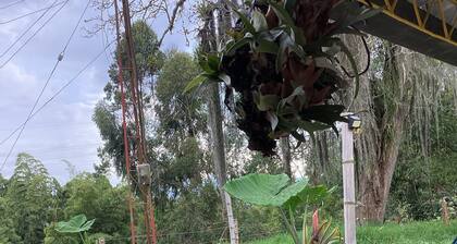 Las hamacas (rural lodging)
