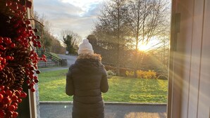 A person standing at the entrance of a building, looking out onto a grassy area with trees and a stone wall in the background. - Rostrevor Valley Hometel (Newry)