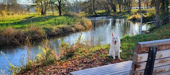 New apartment 54 cm, lots of nature, close to the city center, bike/hiking trails, train station and much more.