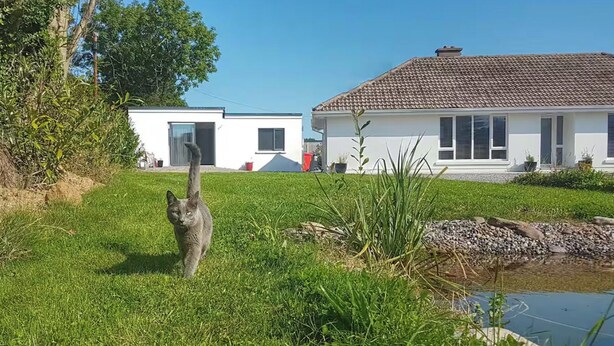 Una casa con techo de tejas, un patio con césped y un pequeño estanque.