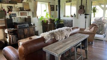 Smart TV, fireplace, books, music library