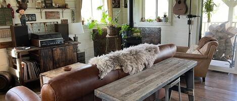 Smart TV, fireplace, books, music library