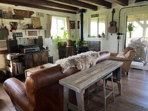 Smart TV, fireplace, books, music library