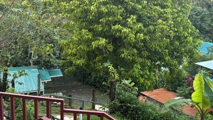 Una escalera con barandillas rojas que lleva a un balcón con vistas a un árbol verde y exuberante y una perspectiva de una zona residencial con casas y una estructura de techo azul.